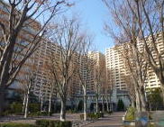 市川市 ハウスクリーニングの実績 市川市 ハウスクリーニングの実績