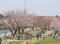 千葉市花見川区のハウスクリーニング・リフォームはアースホームサービスにおまかせ下さい 千葉市花見川区のハウスクリーニング・リフォームはアースホームサービスにおまかせ下さい
